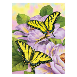 Рисуване по номера с акрилни бои Junior - 22х30 -"Пеперуди"